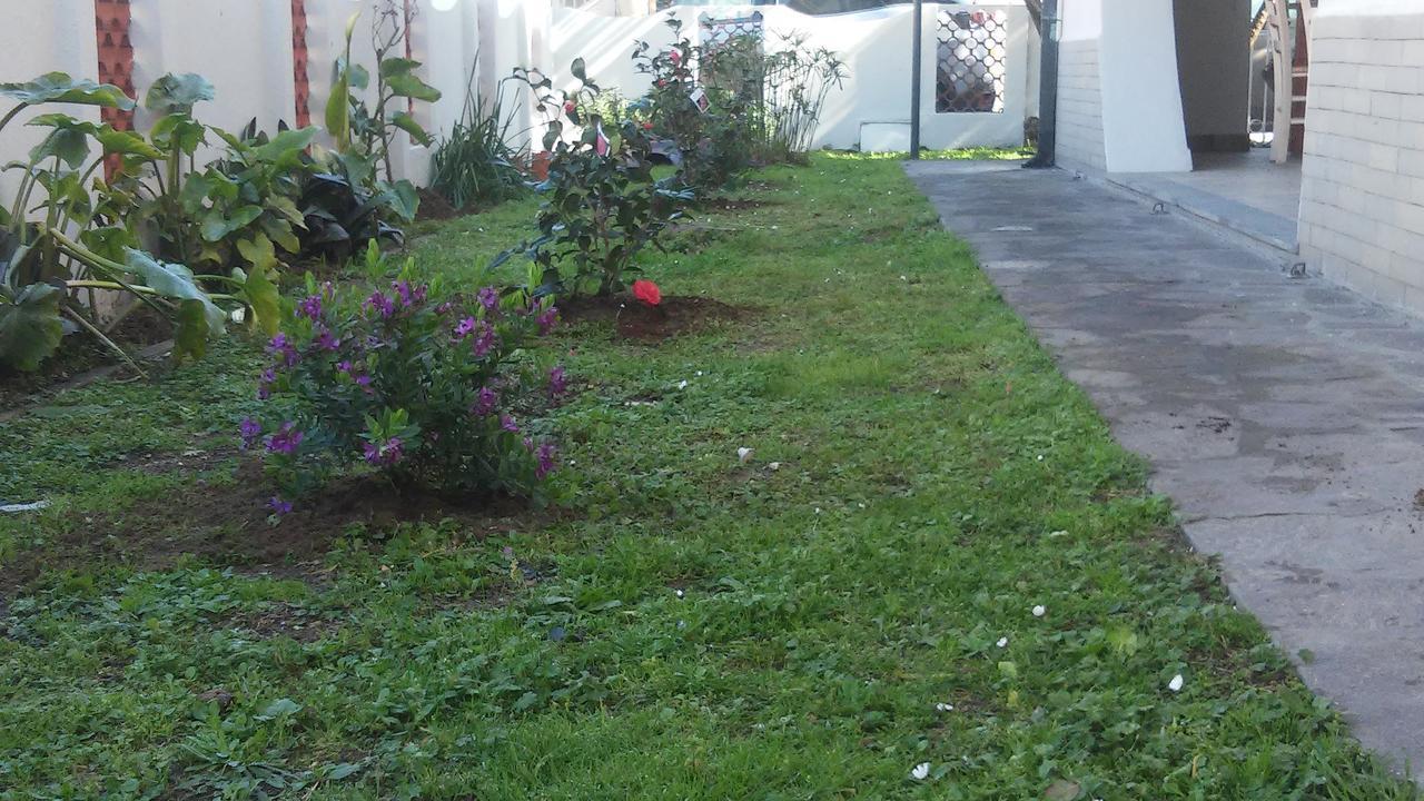 Florinda B&B Viareggio Eksteriør billede