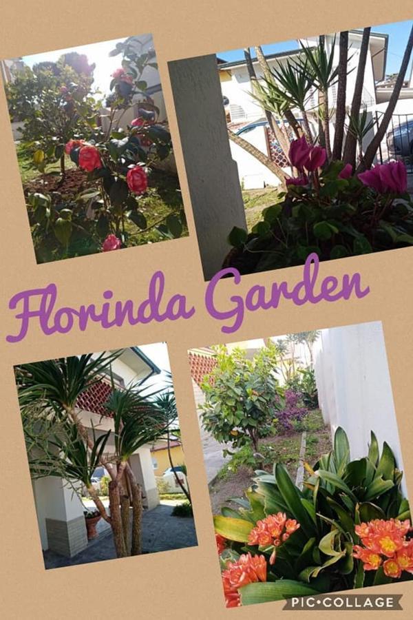 Florinda B&B Viareggio Eksteriør billede